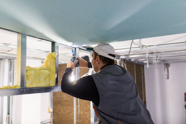 Best Best Insulation Companies  in Hopkinsville, KY