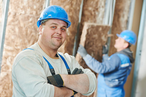 Best Home Insulation Services  in Hopkinsville, KY