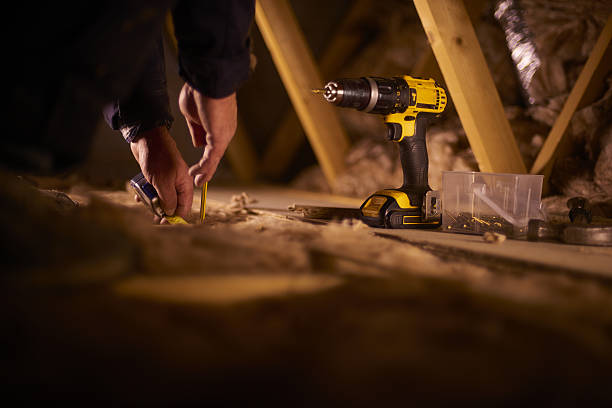 Best Professional Insulation Contractor  in Hopkinsville, KY